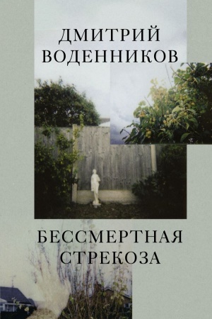 Cover: Bessmertnaya strekoza