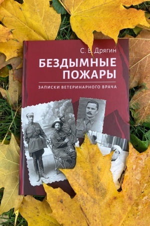 Buchcover: Bezdymnye požary. Zapiski veterinarnogo vrača