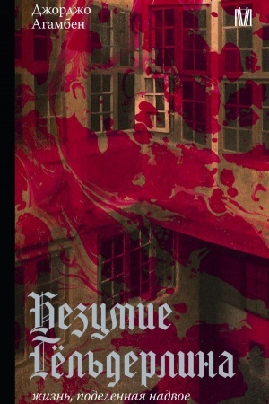 Cover: Bezumie Gyol′derlina. ZHizn′, podelennaya nadvoe