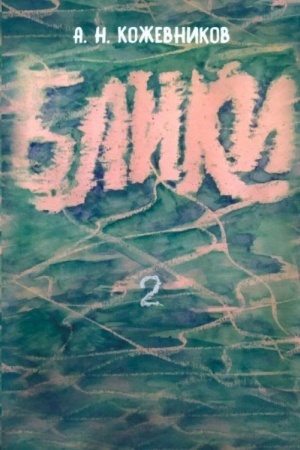 Buchcover: Bliki-2