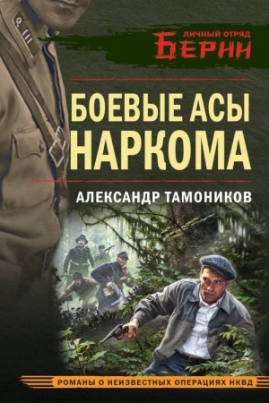 Обложка: Боевые асы наркома