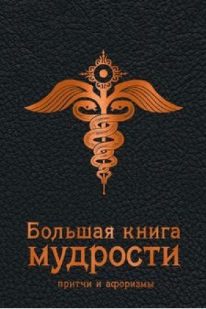 Buchcover: Bol′šaja kniga mudrosti (černaja)