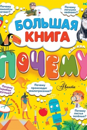 Cover: Bol′shaya kniga pochemu