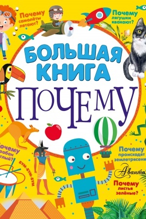 Cover: Bol′shaya kniga pochemu