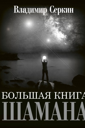 Buchcover: Bol′šaja kniga Šamana