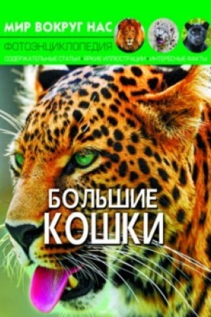 Cover: Bol′shie koshki