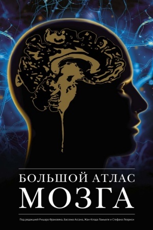 Cover: Bol′shoj atlas mozga