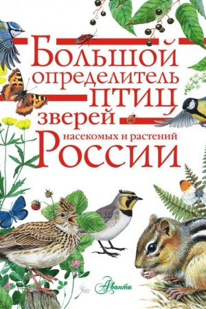 Cover: Bol′shoj opredelitel′ ptic, zverej, nasekomych i rastenij Rossii