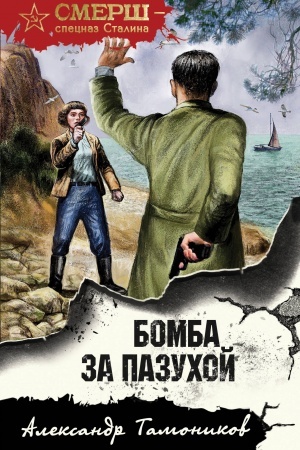 Обложка: Бомба за пазухой