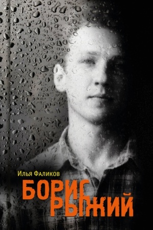 Cover: Boris Ryzhij. Divij kamen′