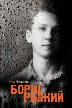Cover: Boris Ryzhij. Divij kamen′