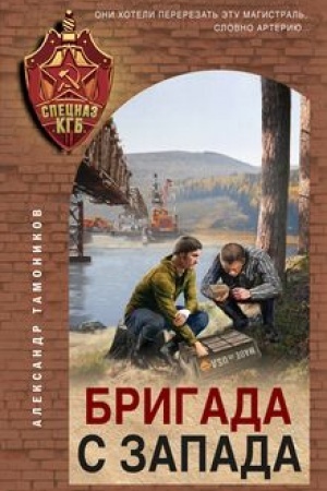 Buchcover: Brigada s zapada