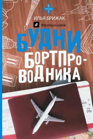 Buchcover: Budni bortprovodnika
