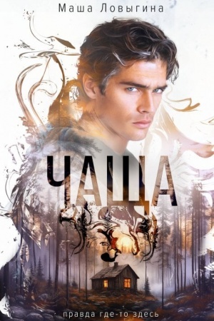 Buchcover: Čačša