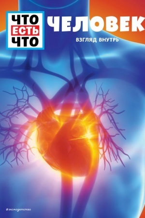 Cover: CHELOVEK. Vzglyad vnutr′