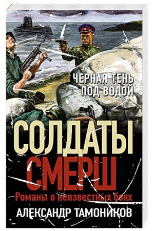 Buchcover: Černaja ten′ pod vodoj