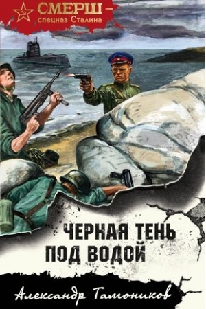 Cover: CHernaya ten′ pod vodoj