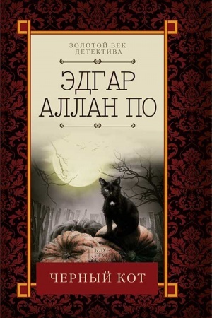 Обложка: Черный кот