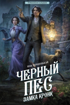 Обложка: Черный пес замка Кронк