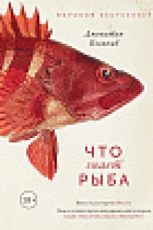 Buchcover: Čto znaet ryba. Vnutrennij mir našich podvodnych sobrat′ev