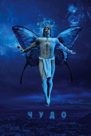 Buchcover: Čudo