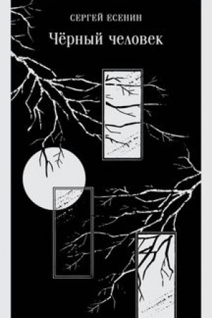 Buchcover: Čërnyj čelovek