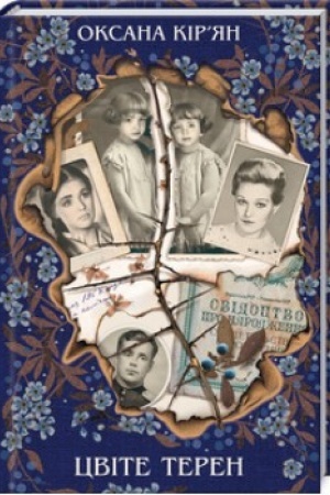 Buchcover: Cvite teren