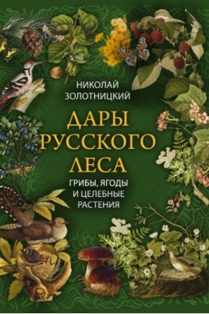 Buchcover: Dary russkogo lesa. Griby, jagody i celitel′nye rastenija