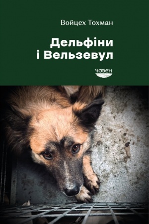 Buchcover: Del′finy i Vel′zevul