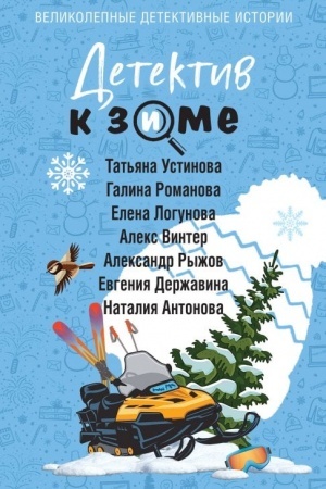 Buchcover: Detektiv k zime