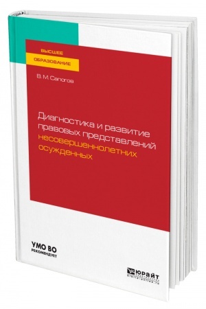 Cover: DIAGNOSTIKA I RAZVITIE PRAVOVYCH PREDSTAVLENIJ NESOVERSHENNOLETNICH OSUZHDENNYCH. Uchebnoe posobie dlya vuzov