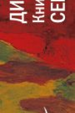 Cover: Dizajner ZHorka. Kniga vtoraya. Serebryanyj rudnik