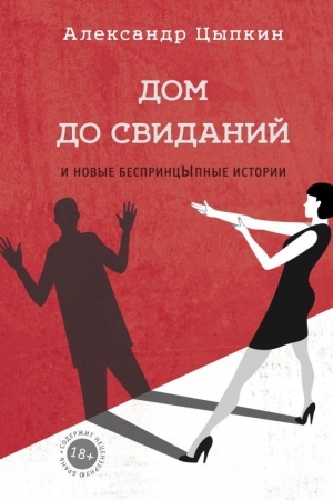 Cover: Dom do svidanij i novye besprincypnye istorii