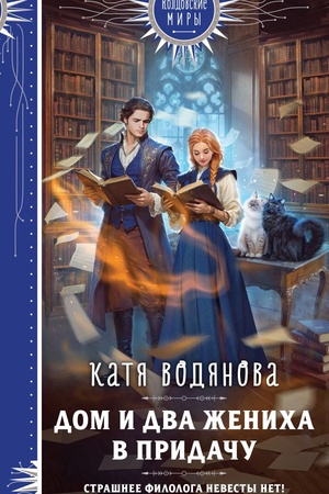 Buchcover: Dom i dva ženicha v pridaču