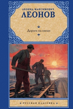 Buchcover: Doroga na okean