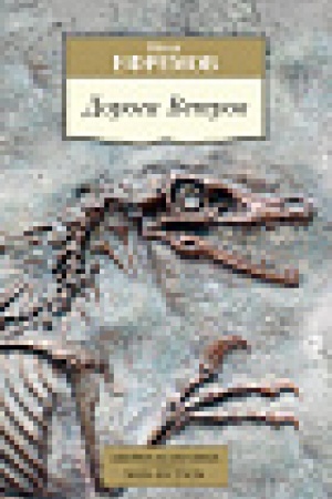 Buchcover: Doroga Vetrov