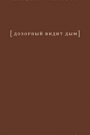 Buchcover: Dozornyj vidit dym: Kniga stichotvorenij