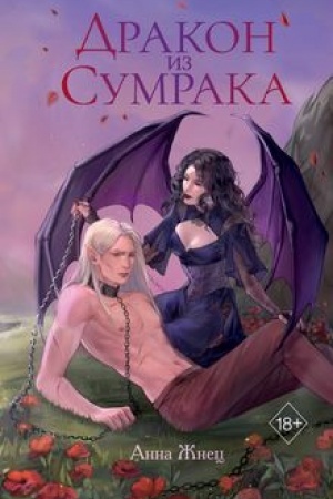 Cover: Drakon iz sumraka