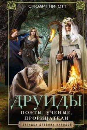 Обложка: Друиды. Поэты, ученые, прорицатели
