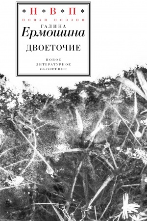 Buchcover: Dvoetočie