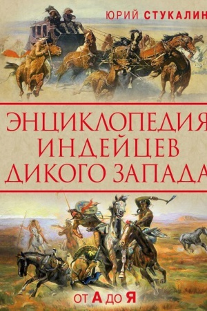 Buchcover: Ėnciklopedija indejcev Dikogo Zapada ot A do JA
