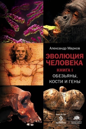 Cover: Evolyuciya cheloveka. [V 2 kn.] Kn. 1. Obez′yany, kosti i geny. Kn. 2. Obez′yany, nejrony i dusha