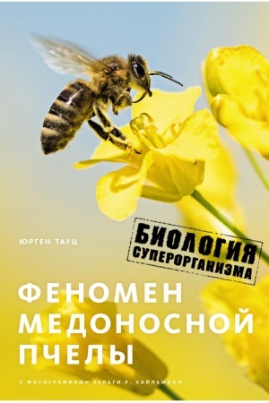 Buchcover: Fenomen medonosnoj pčely. Biologija superorganizma