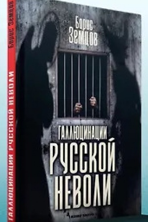 Buchcover: Galljucinacija russkoj nevoli