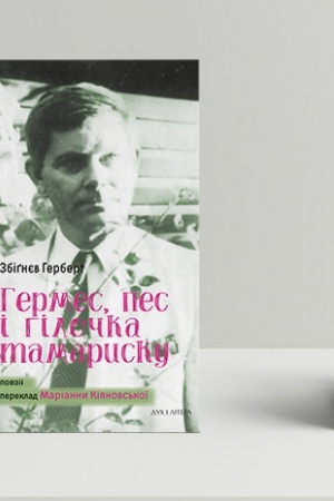 Buchcover: Hermes, pes i hiločka tamarysku. Poezija