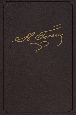 Cover: Gogol′ N.V. Polnoe sobranie sochinenij i pisem v dvadcati trech tomach. Tom trinadcatyj. Perepiska 1820–1832