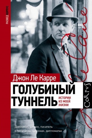 Cover: Golubinyj tunnel′