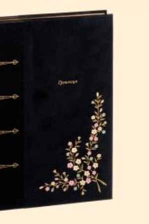 Cover: GRESHNICA