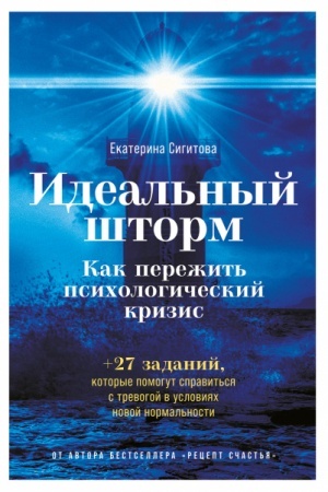 Обложка: Идеальный шторм. Как пережить психологический кризис