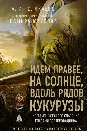Cover: Idem pravee, na solnce, vdol′ ryadov kukuruzy. Istoriya chudesnogo spaseniya glazami bortprovodnika